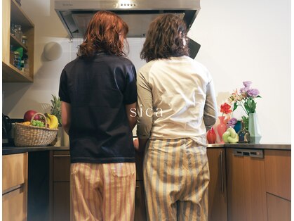 シカ(sica)の写真
