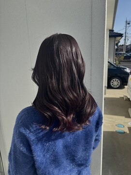 ラベンダーカラー