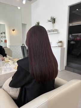 アオ 甲府本店(AO) 《AO hair》カシスパープル