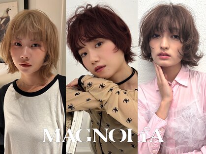 マグノリア(MAGNOLIA)の写真