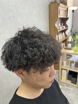 アロウ(ARAW) プードル風 ツイストスパイラル