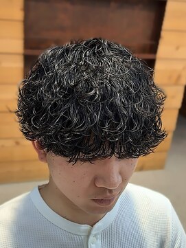 ヴェロ 福井(VeRO) 波巻きプードル