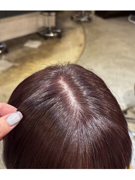 ランタン(LANTERN) ピンクラベンダー