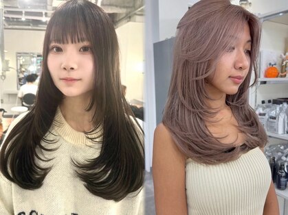 ホリー(HOLLY)の写真