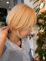 セリオ(SERiO)&nbsp;ペールオレンジ