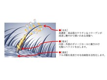 ◆予防美容　医療の専門家と共同開発！頭皮と髪を同時にケアできる≪Dr.【ドクター】シリーズ≫