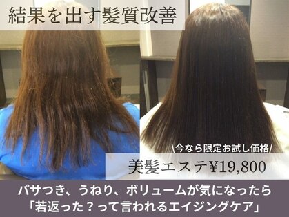 シャンディア(SHANDIA)の写真