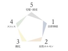 自律神経を整え、頭や首や肩などの疲労回復にもつながる頭皮の整体【ピトレティカ整体ヘッドスパ】のご紹介