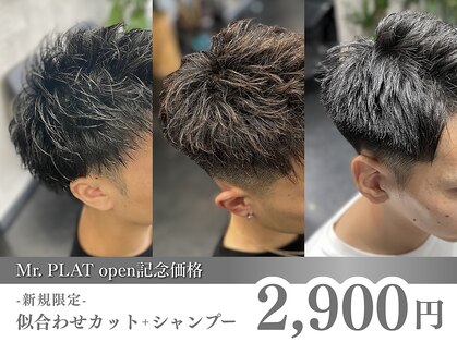 ミスタープラット(Mr.PLAT)の写真
