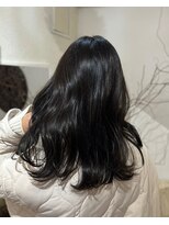 リゴッツ ドゥア プトゥリ(Regottz dua putri)&nbsp;黒髪艶カラー12.2