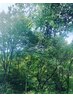 【ハリこしクレンジング】カット＆エイジングスキャルプシャンプー5500→5280