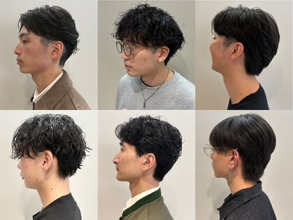 オレンジペコ(orange peco)の写真