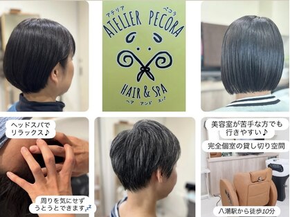 アテリアペコラ(atelier pecora)の写真