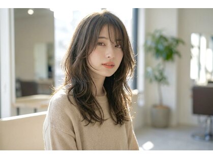 トライアンフ(TriumpH)の写真