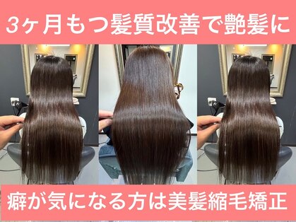 アヤメ(ayame)の写真