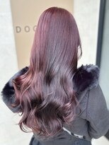 ドッグマニアピンチアオヤマ(DOGMANIA PiNCH AOYAMA)&nbsp;ブリーチなしダブルカラー/ピンクラベンダー/表参道