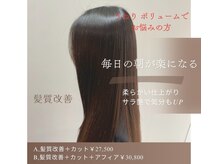 セクション(SECTION)