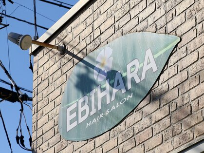 エビハラ(EBIHARA)の写真