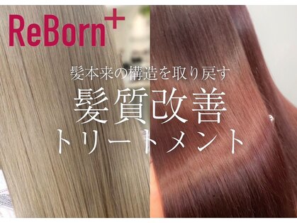 ソース 梅田(SOURCE)の写真