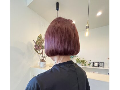 スコヘアー(suco hair)の写真