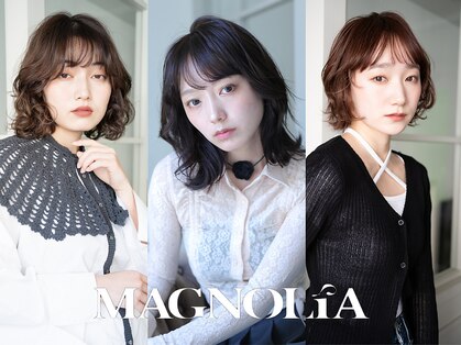 マグノリア(MAGNOLIA)の写真