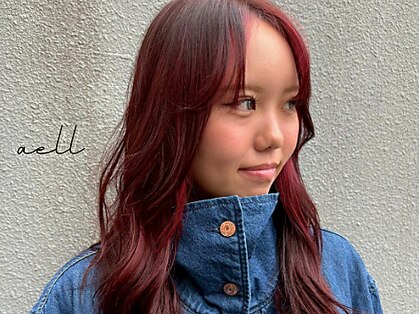 エイル(aell)の写真