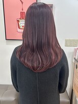 アミート(ameet)&nbsp;ピンクラベンダー