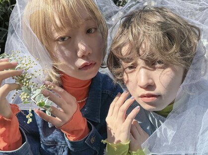 ノア(NOA by KENJE)の写真