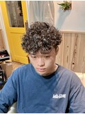プードルパーマ