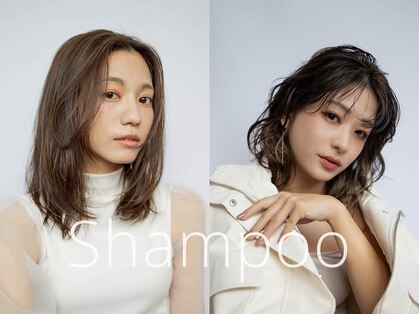 シャンプー(Shampoo)の写真