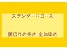 スタンダードコース ●腰辺りの長さ 全体染め