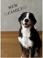 ガレリア エレガンテ 桑名店(GALLARIA Elegante)&nbsp;元気いっぱい 毎日癒されてます＊Bernese Mountain Dog