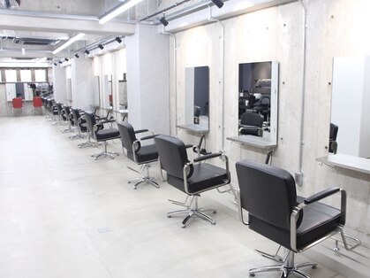 オルカ(ORCA)の写真