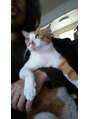 ジャンプッシュ 平尾(JUMPUSH) ネコと犬を飼ってます(^^) 動物大好き美容師です