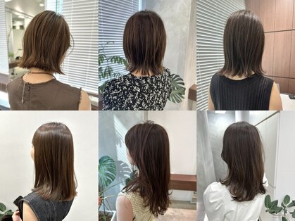 ノーマン(norman)の写真