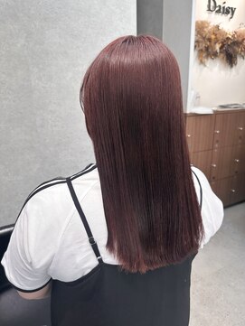 デイジー(Daisy) 天神/大名/レッドブラウン/赤/秋カラー