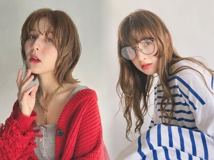 ホリー(HOLLY)の写真