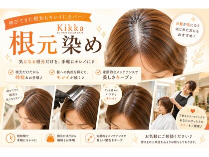 キッカ(Kikka)の写真