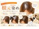 キッカ(Kikka)の写真