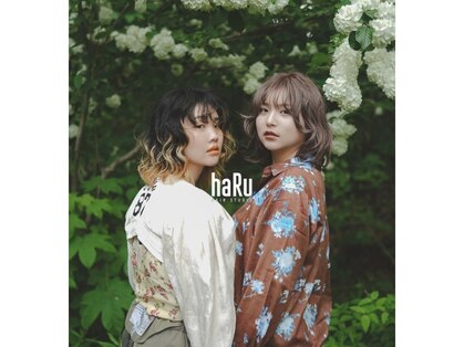 ハル ヘアスタジオ(haRu hair studio)の写真