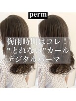 チョビー銀座桜井デジタルパーマカウンセリング用
