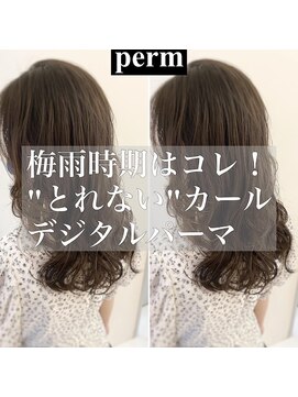 チョビー 銀座(chobii) チョビー銀座桜井デジタルパーマカウンセリング用