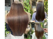 オリーブ(Olive)