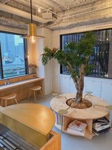 堺筋本町駅のオシャレなインテリア自慢のサロン一覧 ホットペッパービューティー