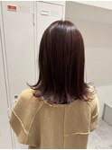 オールシーズンオススメ　シルキーパープル