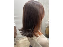 モルカ MOLU C A