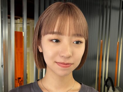 シロ(Shiro)の写真
