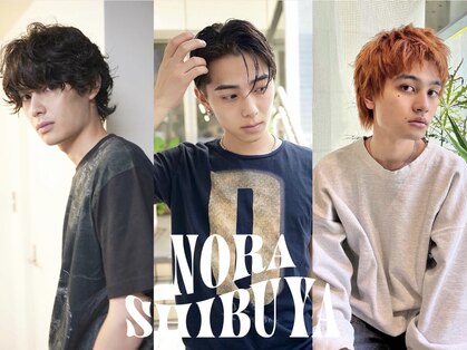 ノラ シブヤ(NORA)の写真