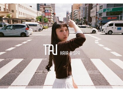 タイ(TAI)の写真