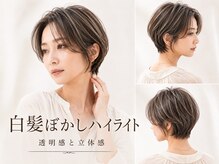 ウィールールピヴォクロス(WE RULE pivot cross)の雰囲気（白髪ぼかし×ハイライトで叶う大人透明感◎[カラー]）